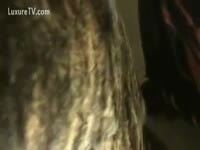 Asian amateur beastiality with dog porno